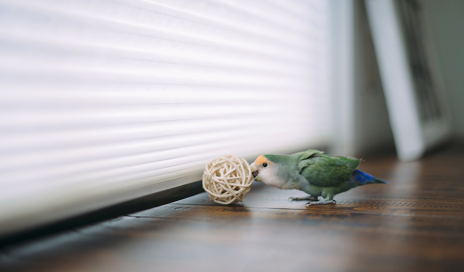 Room No.9610 kurobar photo07