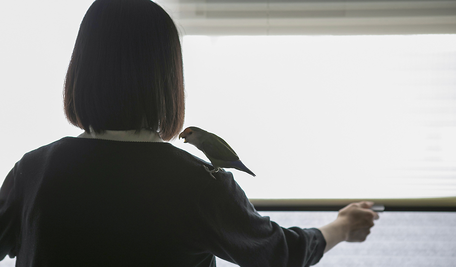 Room No.9610 kurobar photo09