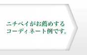 �˥��٥��������᤹�륳���ǥ��͡�����Ǥ���