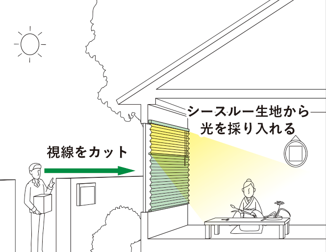 イメージ＿上部にシースルー生地、下部に不透明生地